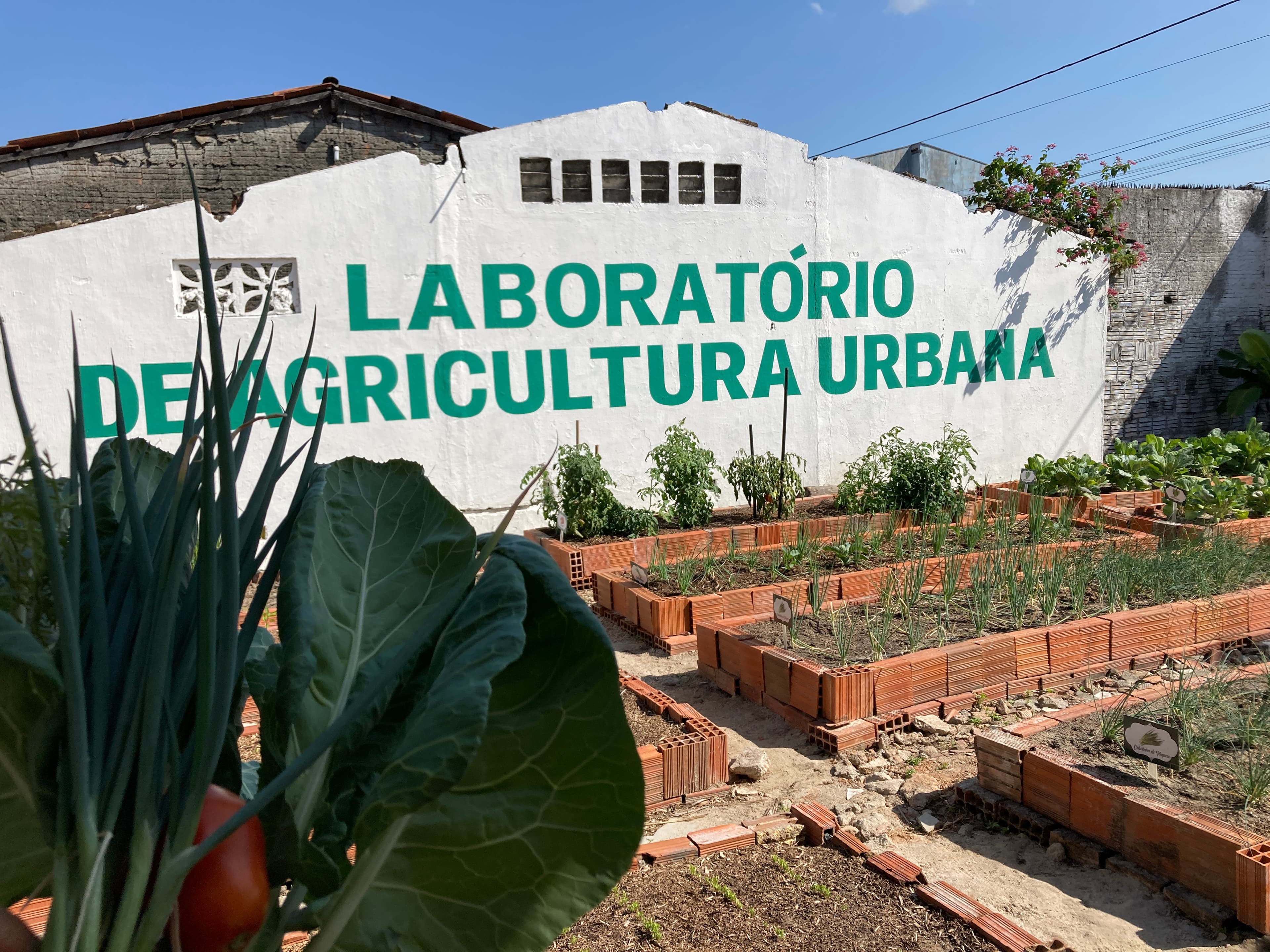 Laboratório de agricultura urbana do Banco Palmas